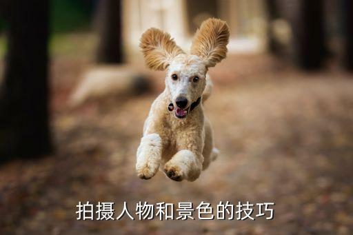 人和樹拍照姿勢，拍攝人物和景色的技巧...